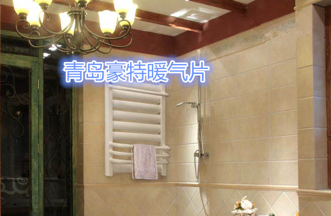 衛(wèi)生間暖氣片 衛(wèi)生間暖氣片